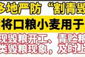 越闹越大！河北多地严防“割青毁粮”惹众怒！评论区被喷沦陷了！