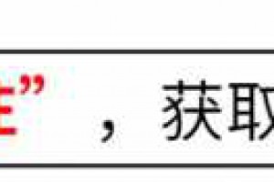 章子怡旧照曝光，海边叠罗汉成一生之痛，81张照片引发回忆杀！