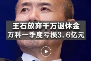 几亿身价王石放弃千万退休金，田朴珺：我养你，网友：喜欢蹭热度