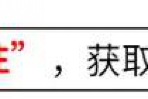 美再对中国企业下手？话音刚落美媒发现不对，光刻机对华出口激增