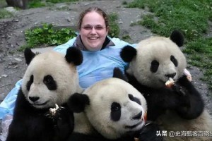 印度14年向中国租赁熊猫40次，被拒后，直接自己“生产”熊猫！